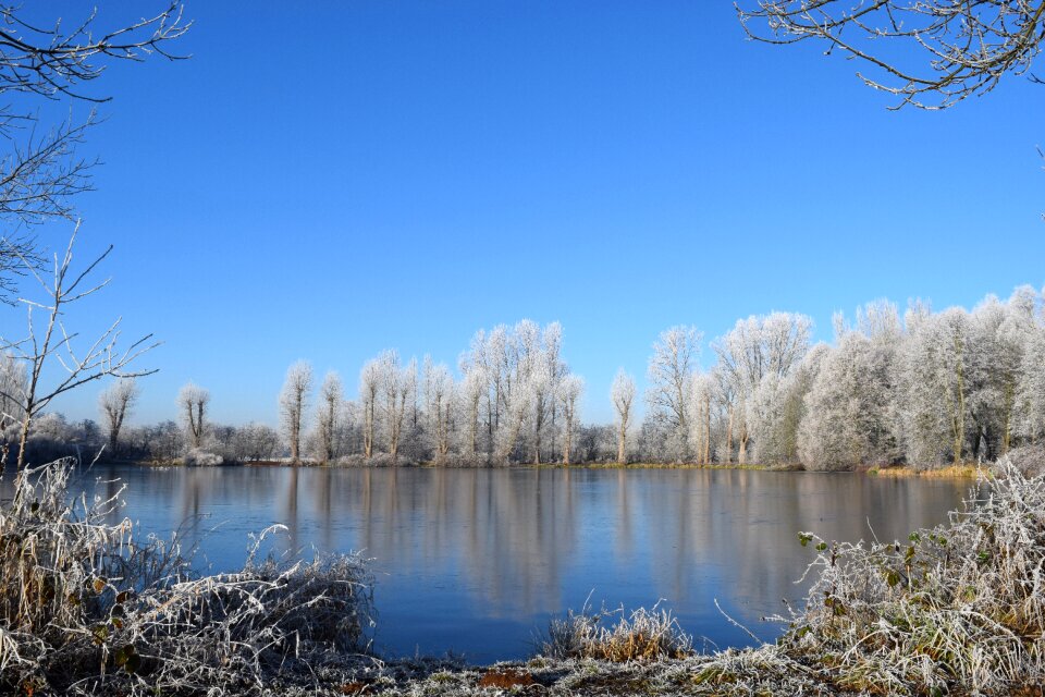 Lake wintry sunny