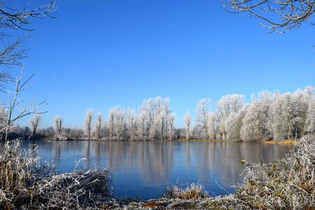 Lake wintry sunny