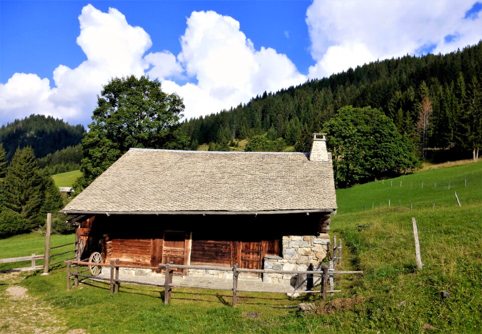 Haute savoie lawn wood
