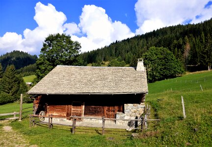 Haute savoie lawn wood photo