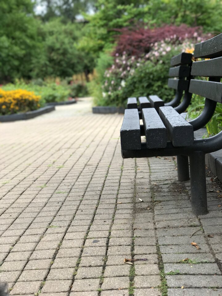 Park bench hyde park bench photo