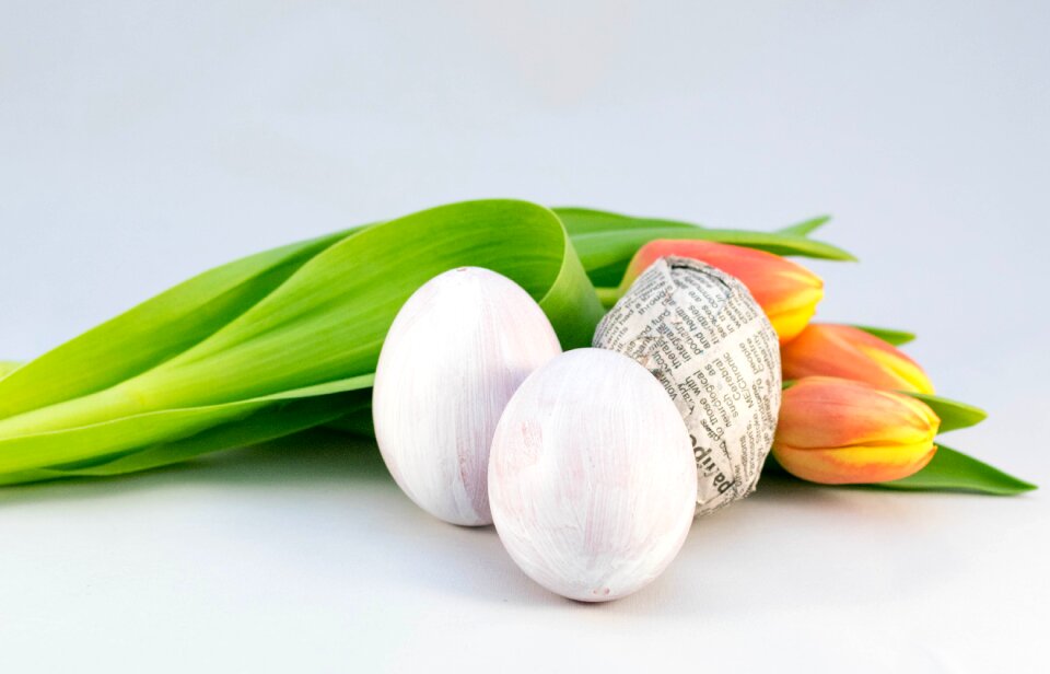 Freshness easter eggs easter decoration