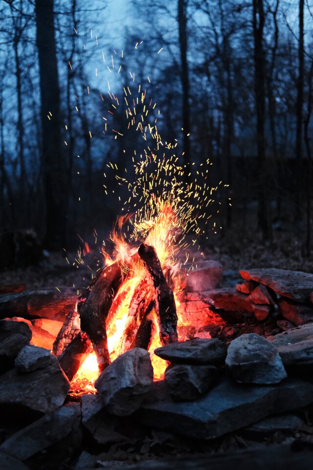 Camp outdoor woods