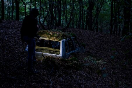 Forest car vehicle