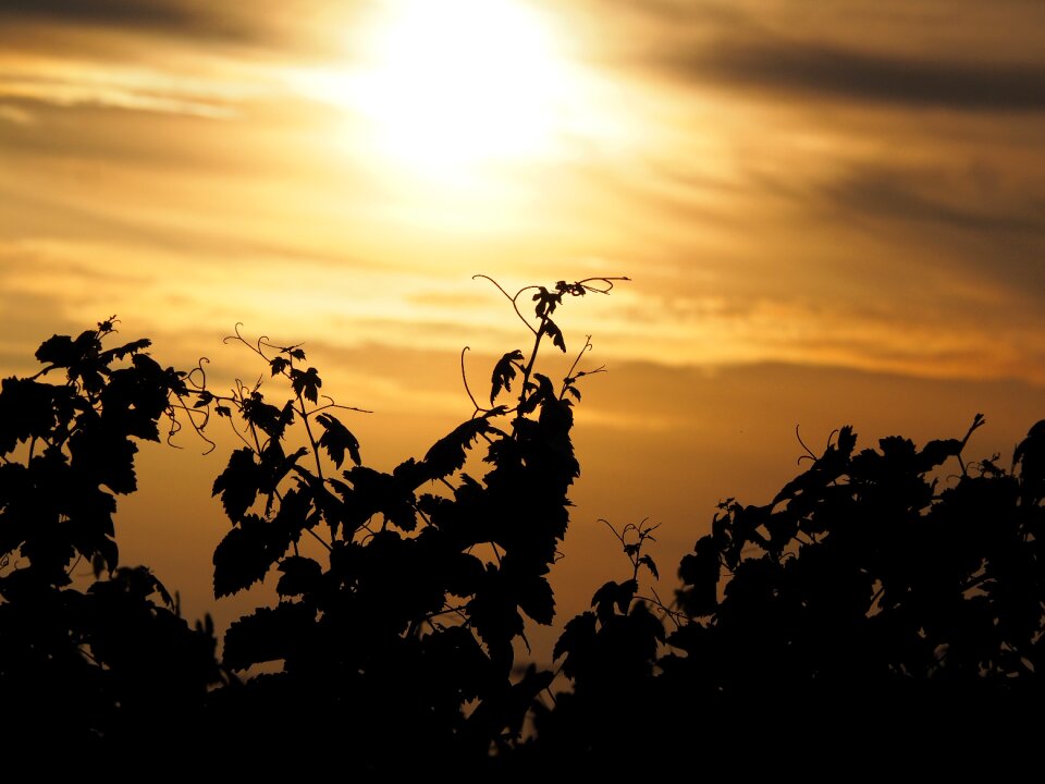 Mood sky landscape photo