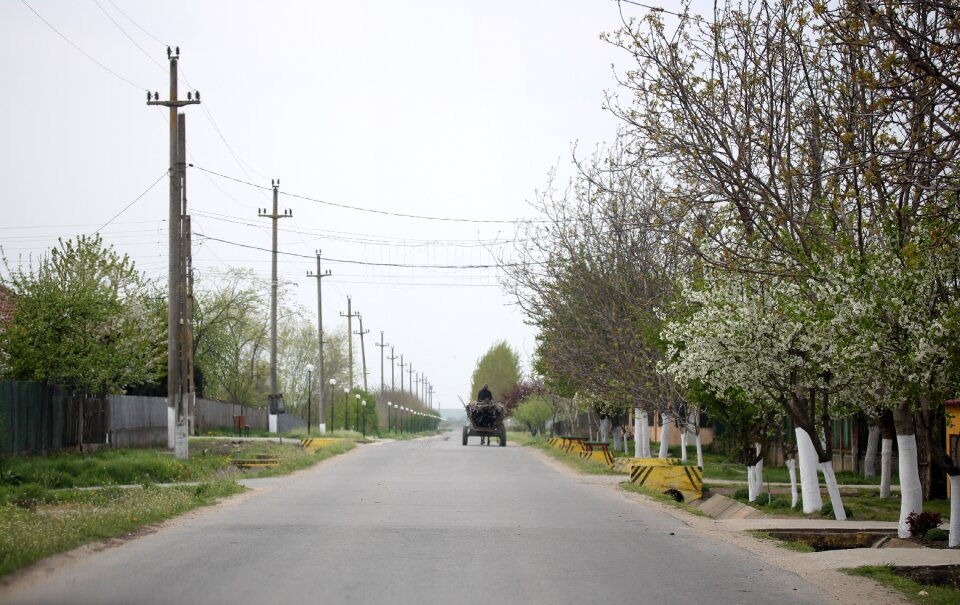 Street village horse