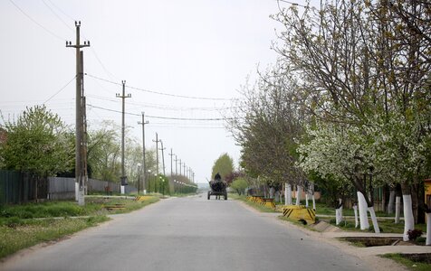 Street village horse
