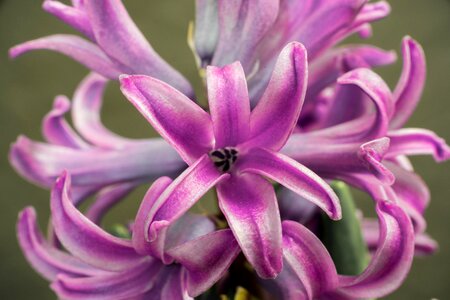 Color garden floral