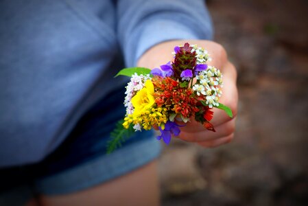 Nature romantic outdoor