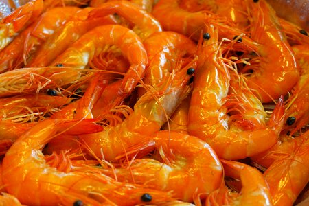 Seafood vegetable shrimp