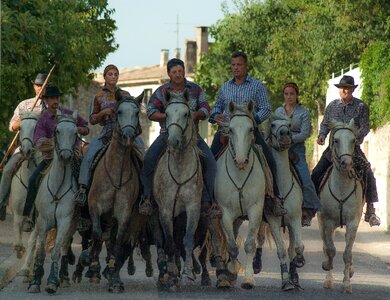 Horses riders camargue horse