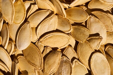 Fresh macro healthy eating
