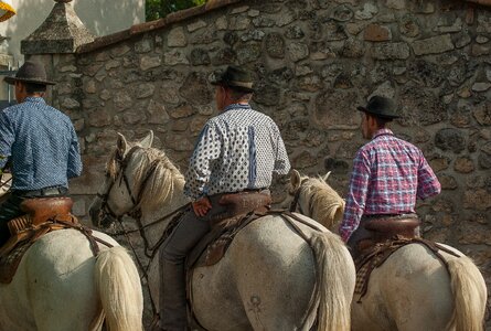 Gardians horses riders