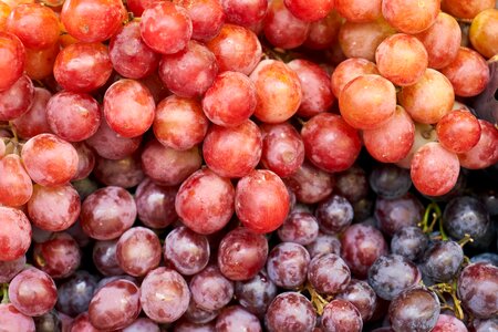 Red wine healthy lifestyle vitamin