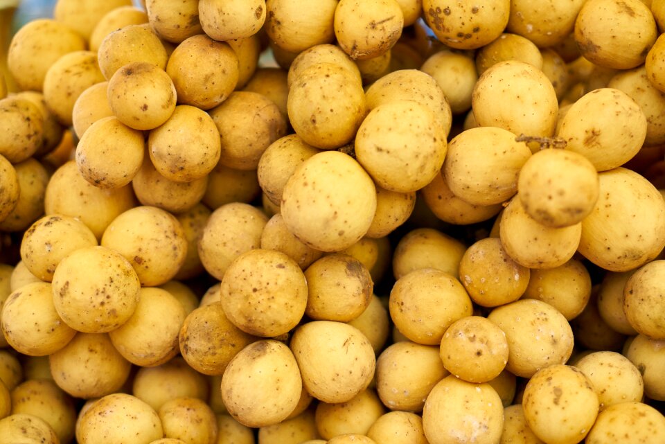 Yellow background close-up