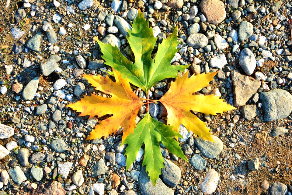 Beautiful outdoor background