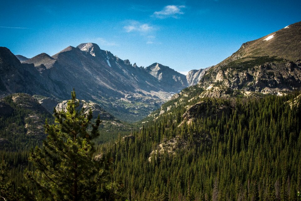 Valleys trees lush