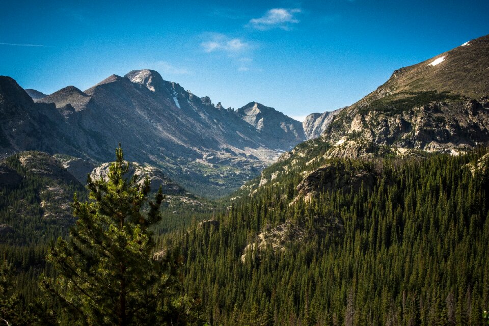 Valleys trees lush photo