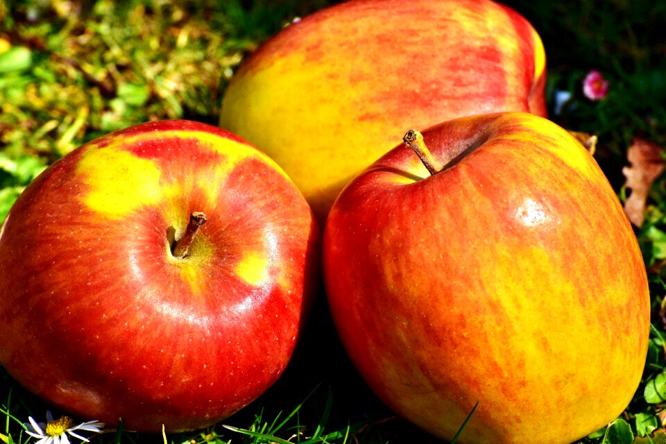 Healthy vitamins red