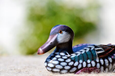 Decoration bird decorative