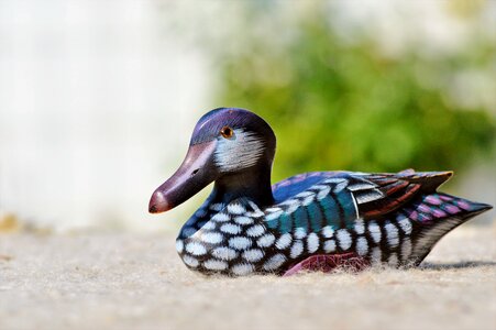 Decoration bird decorative