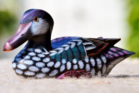 Decoration bird decorative
