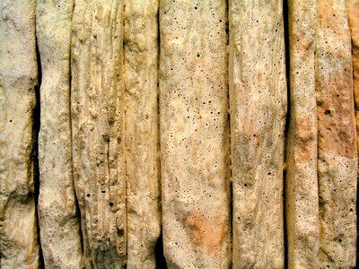 Wood tree pattern