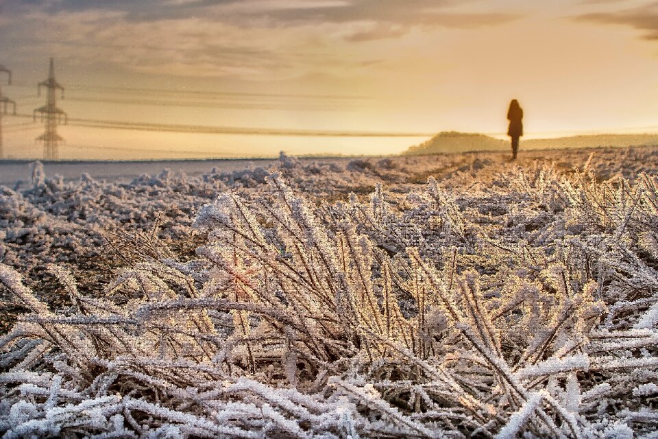 Field person wanderer
