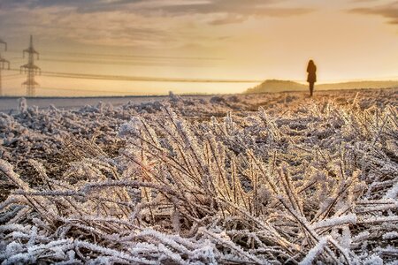 Field person wanderer
