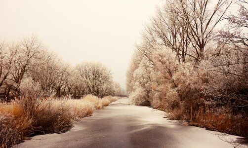 Winter frozen river trees