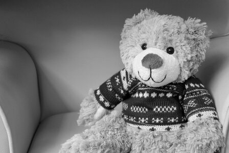Teddy bear childhood sitting photo