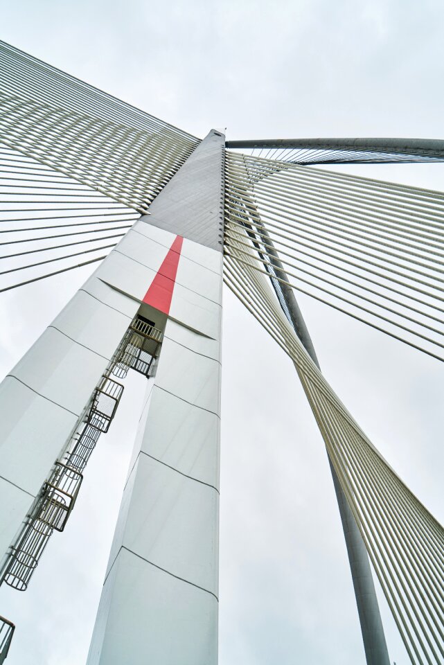 Steel high architecture