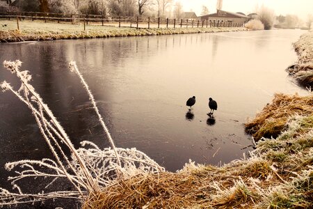 Ice frozen river hoar frost