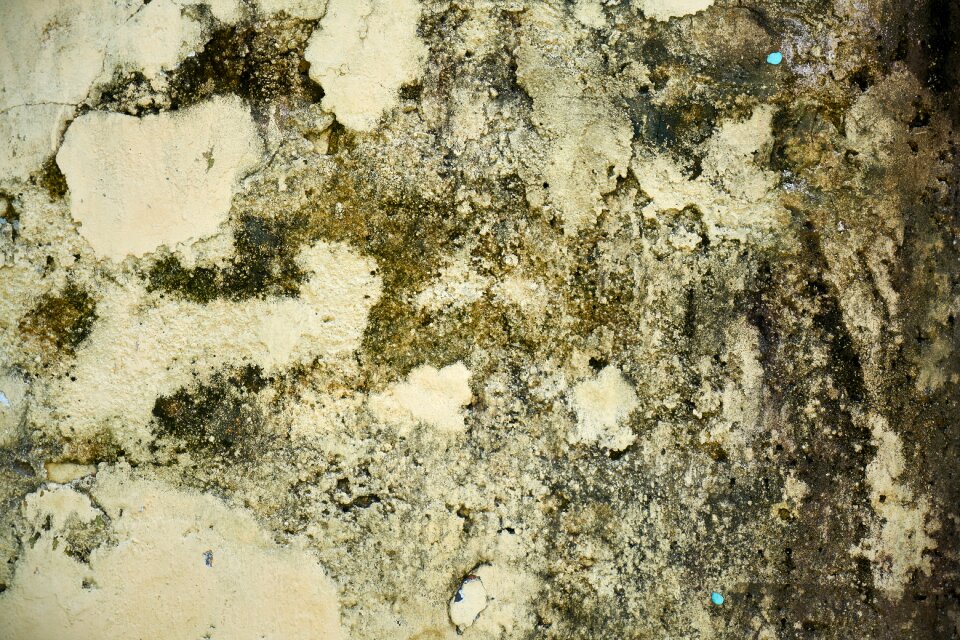 Plaster cement painted