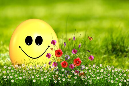 Smilie smile joy