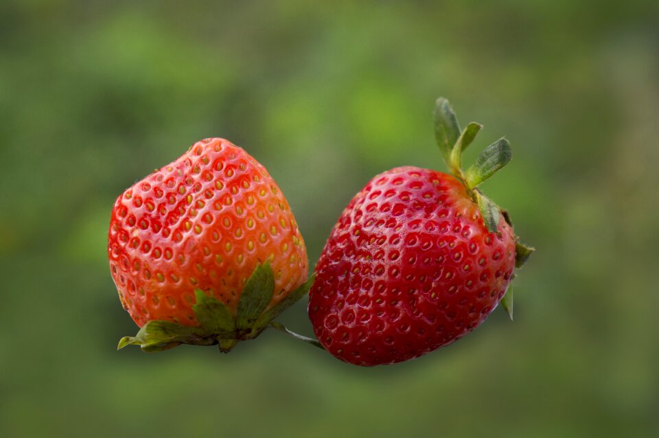 Food fruits strawberries