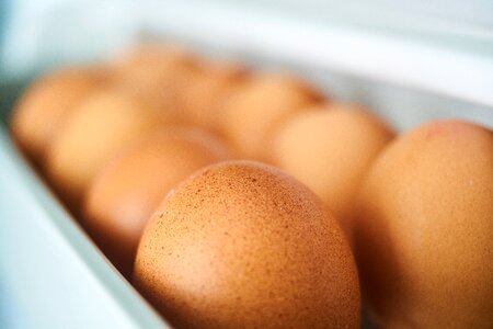 Ovarian refrigerator spawn