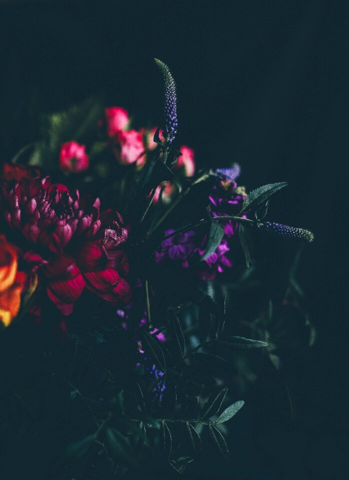 Petals stem leaves