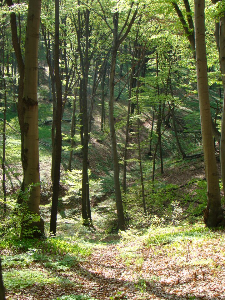 Valley cliff nature