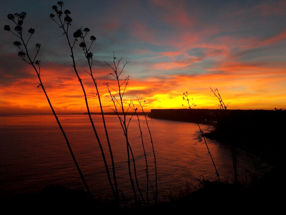 Sea flame sky coast
