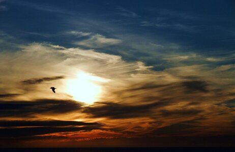 Nature dawn sea photo