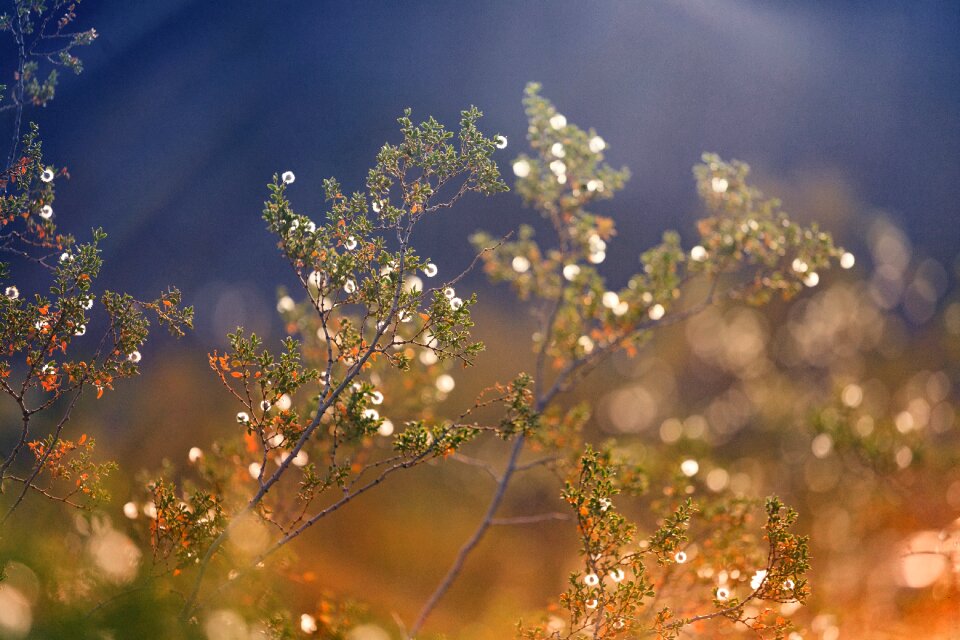 Light sky close up