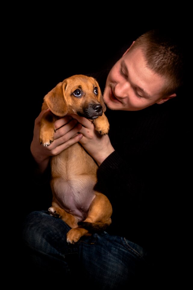 Pet mammal friendship