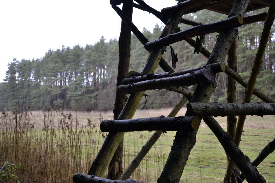 Outdoors fence landscape