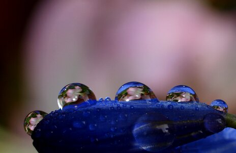 Water drop closeup