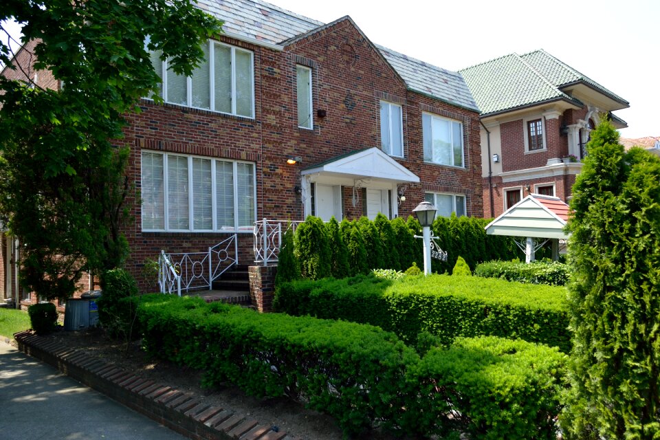 Residential garden hedges