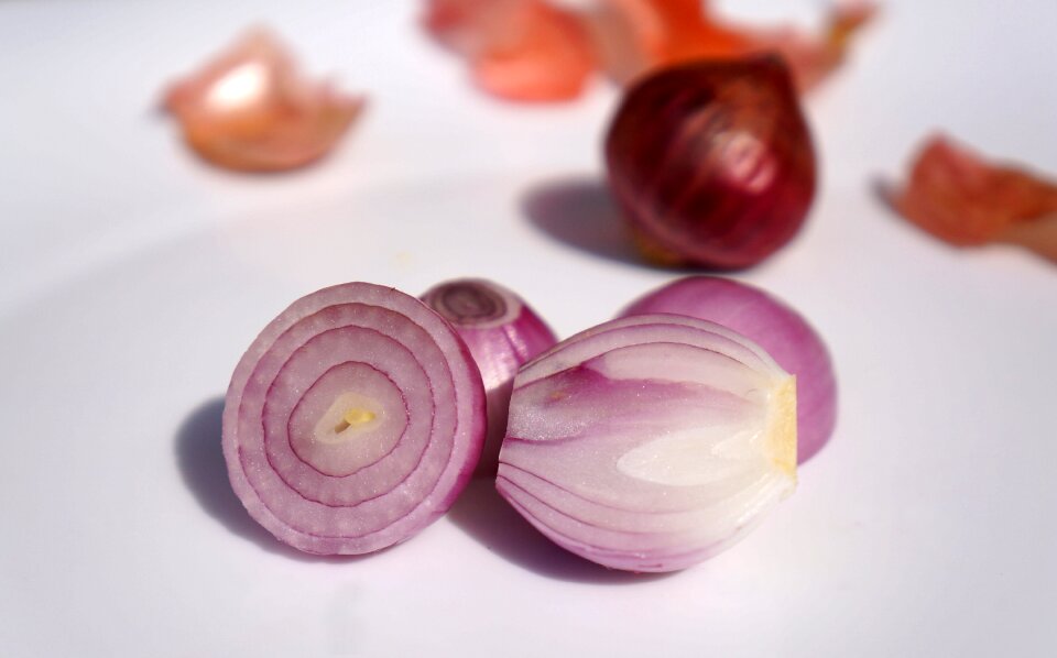 Onion purple onion food