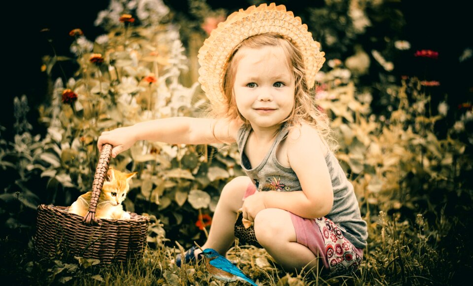 Bird child photographing children kid photo