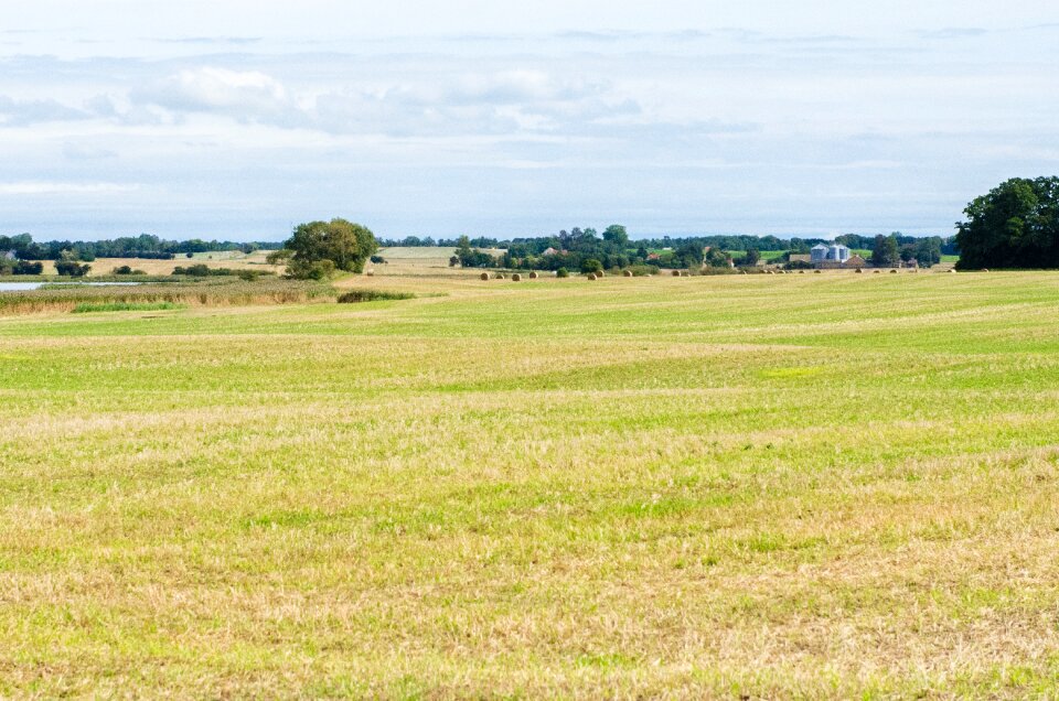 Farm rural farming
