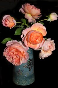 Arrangement vase garden